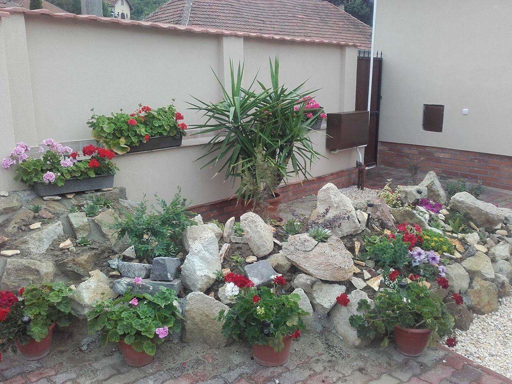 Reka Vendeghaz Hotel Токай Екстериор снимка